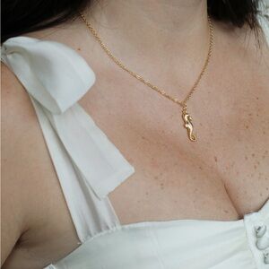 Hippocampus Necklace 🐚